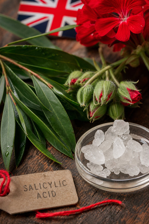anti‑acne serum ingredients close‑up