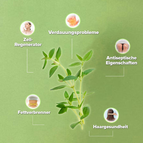 Zühre Ana Ekstraktlı Kekik Suyu