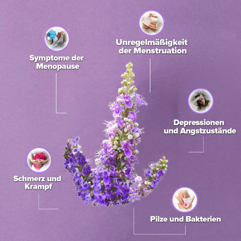 Zühre Ana Ekstraktlı Hayıt Suyu