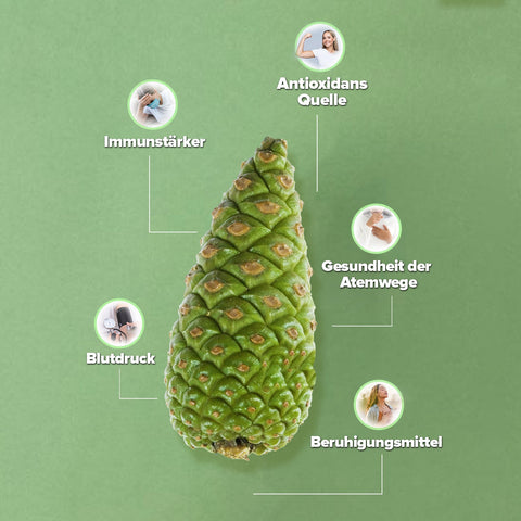 Zühre Ana Ekstraktlı Çam Çırası Kozalak Suyu